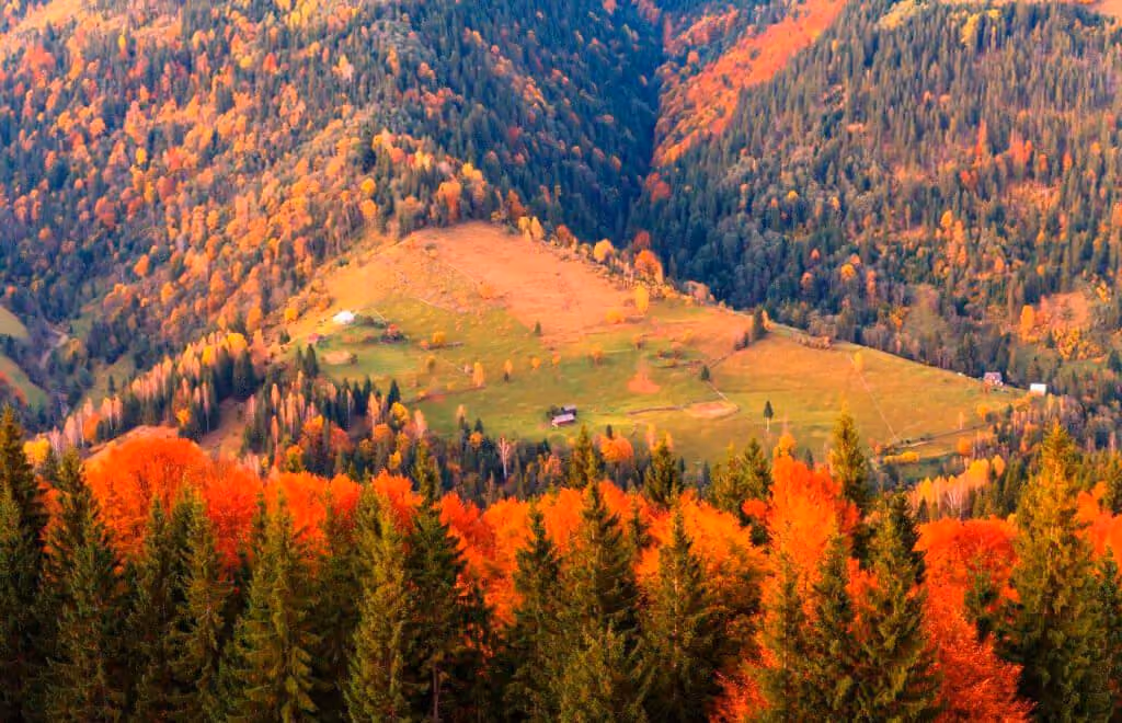 Золоті Карпати 🏔️